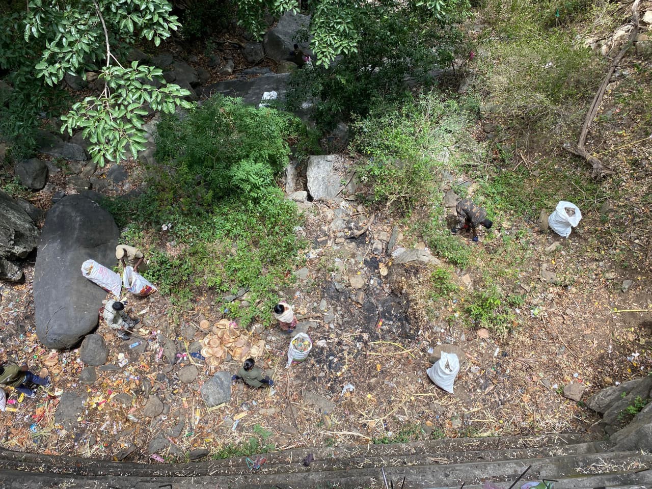 Plastic Cleaning Event